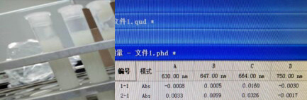 33dd6decfc485869bb709bb49494f187_c5e9873e-1735-41e1-aa8e-1dc38f018cef.jpg